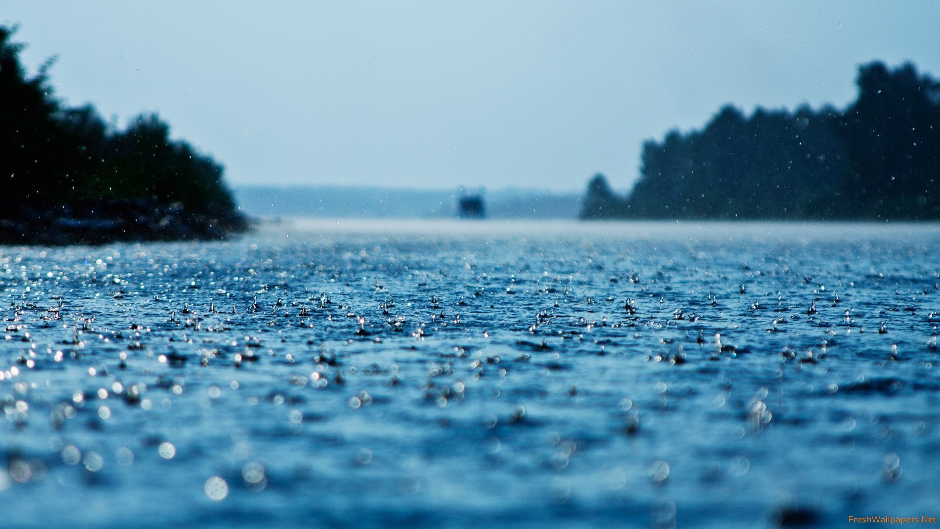 summer-rain