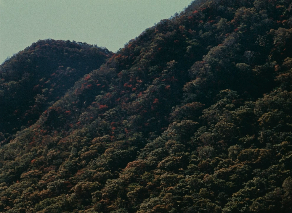 Akibiyori (1960)